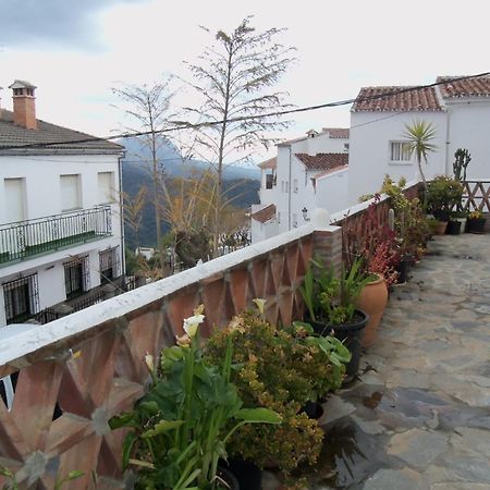 Apartamentos Rurales Jardines Del Visir Хеналхуасил Екстериор снимка