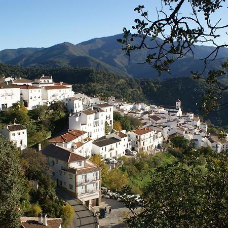 Apartamentos Rurales Jardines Del Visir Хеналхуасил Екстериор снимка