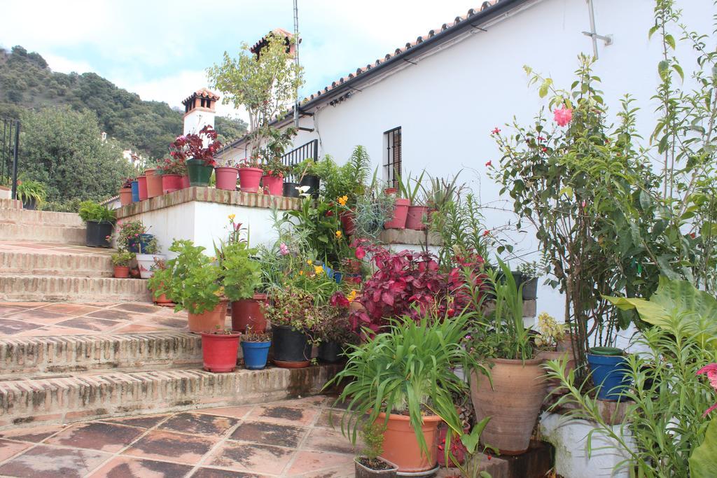 Apartamentos Rurales Jardines Del Visir Хеналхуасил Екстериор снимка